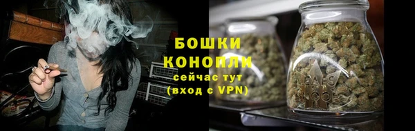 дживик Нягань