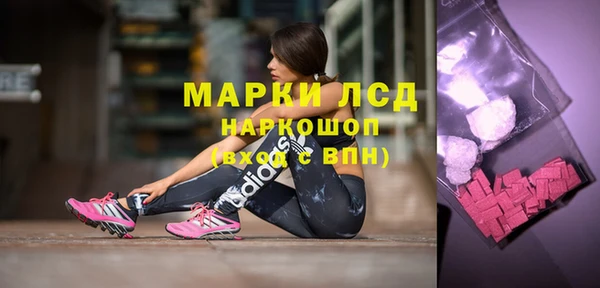 молекула духа Няндома