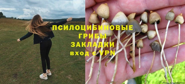 дживик Нягань
