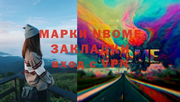 молекула духа Няндома