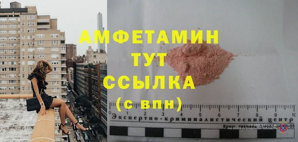 молекула духа Няндома